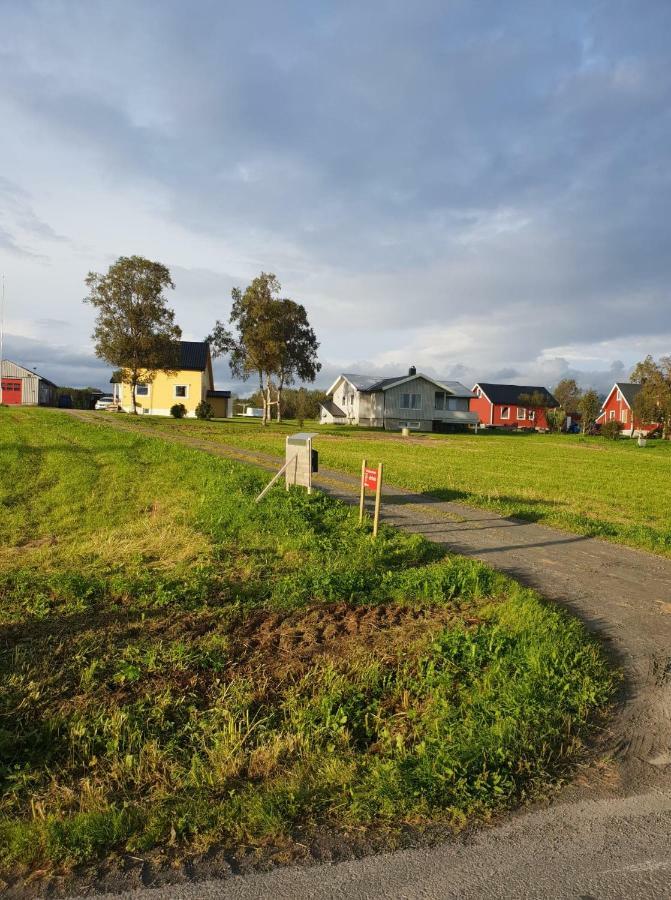 1 Room In The Yellow House, Close To Airport & Lofoten Evenskjer Exterior photo