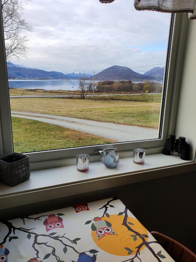 1 Room In The Yellow House, Close To Airport & Lofoten Evenskjer Exterior photo