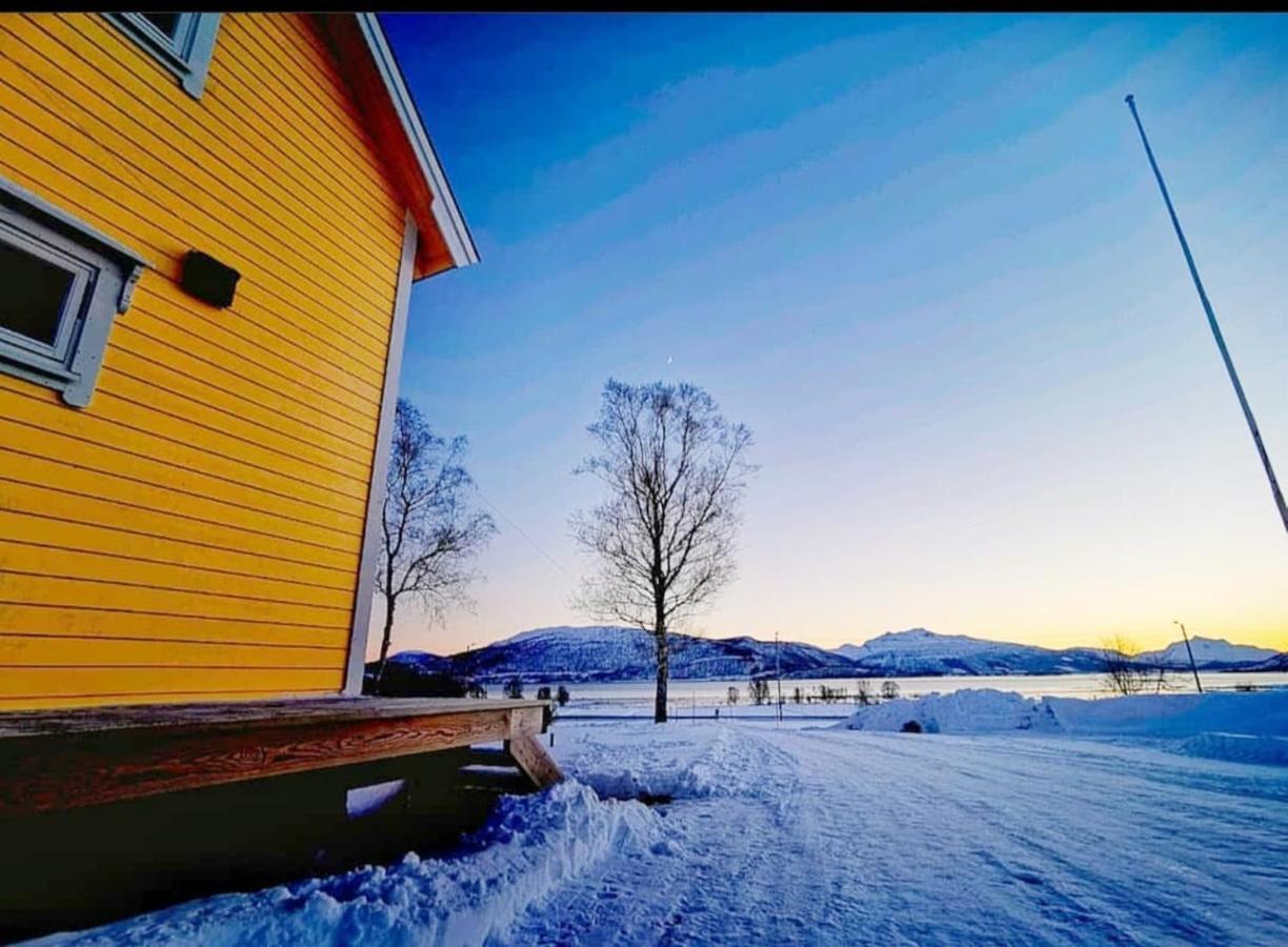 1 Room In The Yellow House, Close To Airport & Lofoten Evenskjer Exterior photo